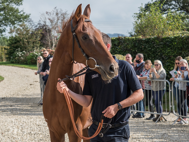 Paul Nicholls Visit - 26 September 2021